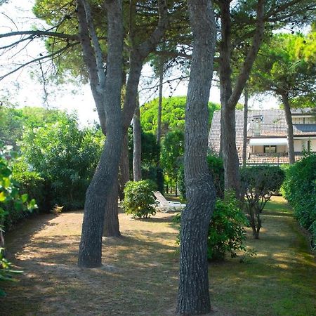 Villa Scultura Seaview Λινιάνο Σαμπιαντόρο Εξωτερικό φωτογραφία